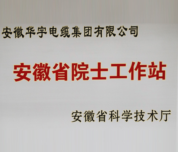 安徽华宇电缆集团有限公司安徽省院士工作站正式获批
