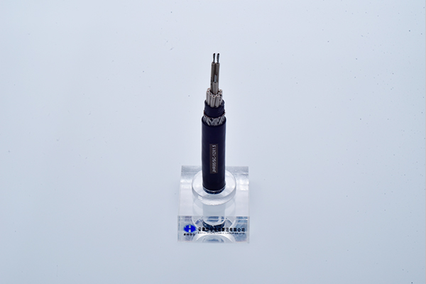 交联聚乙烯绝缘舰船用水密型控制电缆