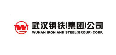 武汉钢铁集团有限责任公司