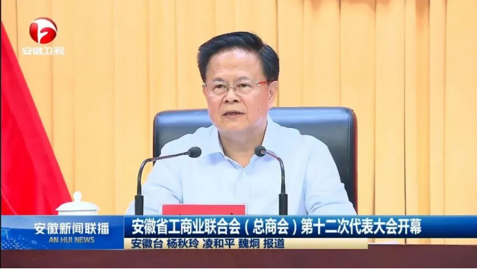 安徽华宇电缆集团董事长叶明竹荣获“安徽省第七届非公有制经济人士优秀中国特色社会主义事业建设者”称号