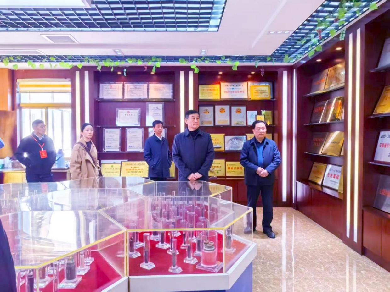 在无芜湖市人大代表莅临华宇集团考察调研