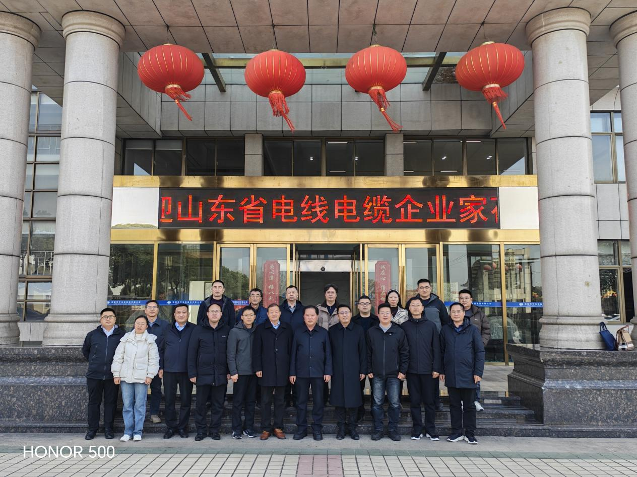 山东省电线电缆企业家代表团莅临华宇集团考察交流