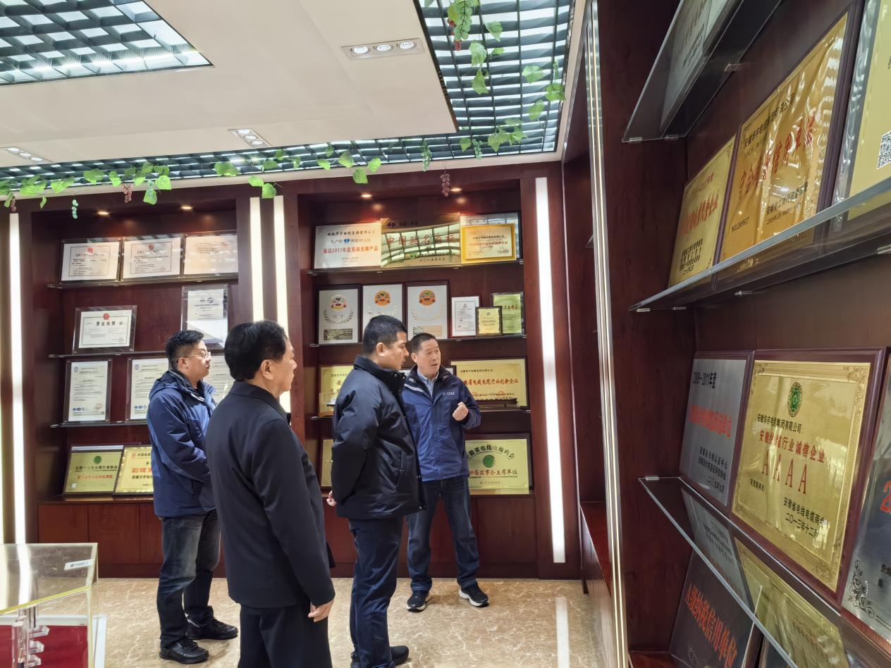 无为市委副书记、市长束晓伟一行莅临华宇集团开展调研