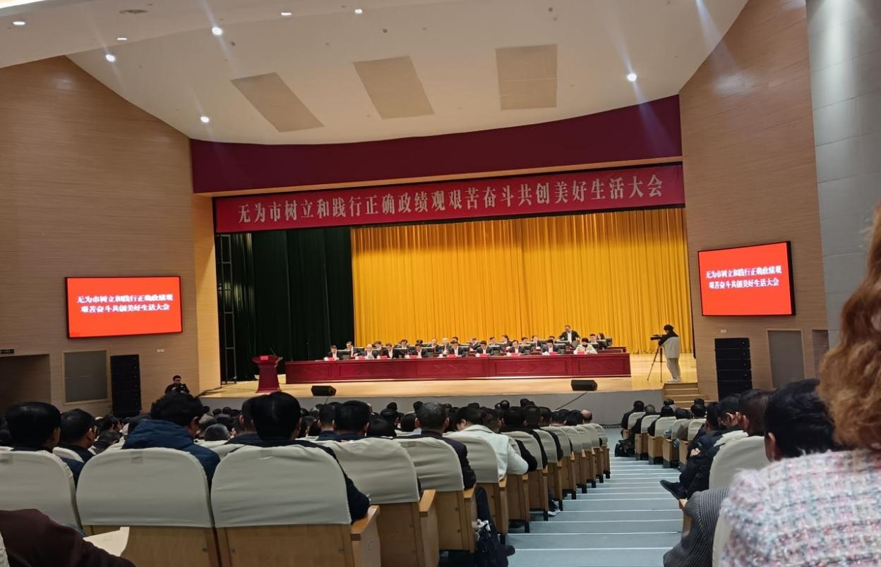 华宇集团在无为市“新春第一会”上荣获多项殊荣
