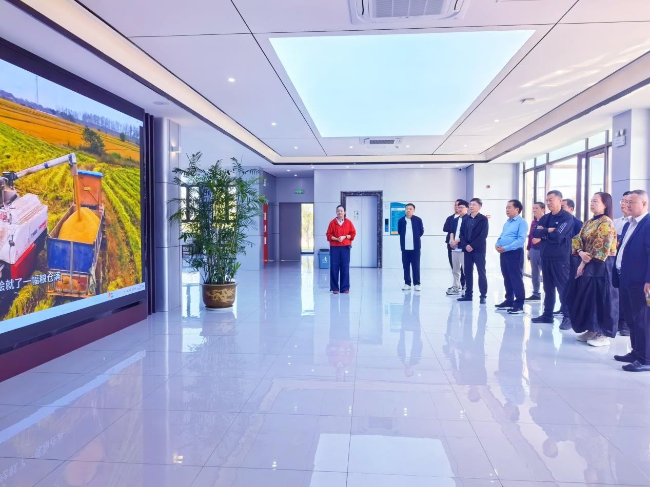 图片6